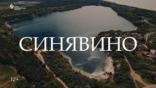 Репортаж «Синявино»