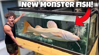 Buying RARE Monster FISH for My AQUARIUM!