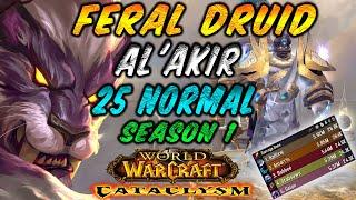 Cataclysm Feral Druid PvE l Al'Akir 25 Normal l Throne of the Four Winds Cataclysm Classic #feral