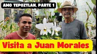 Visita a Juan Morales, AMO Tepoztlan parte 1.