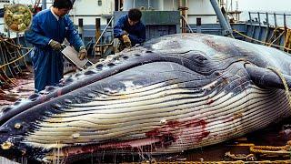 Explore Japanese cuisine, How Japanese processing giant whales into special sashimi - Emison Newman