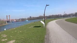 Spijkenisse Marina, De Kraanvogel Bridge, Spijkenisse Bridge over the Maas River, March 2025