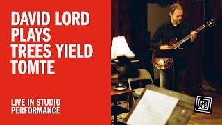 David Lord - Trees Yield Tomte