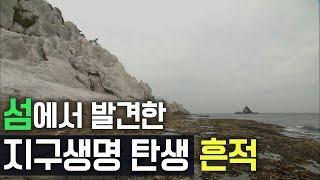 섬에서 발견한 지구생명탄생의 흔적들[살아있는 자연사박물관 섬 01]