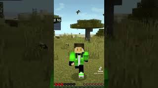 Stung by a Wasp in Minecraft!