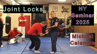 "Joint Locks" Michael Calandra NY Seminar 2025