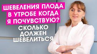 Шевеления плода в утробе. Когда я почувствую? Сколько должен шевелиться?