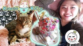 VLOG | Kawaii Kitty Cafe in Philadelphia, PA