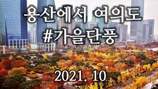 [DRIVIN SEOUL] 용산에서 여의도, 양화대교 #가을단풍 #From Yongsan To Yeouido #Autumn Colors