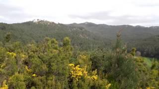 Primavera Serra de Sintra