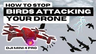 Easy Fix How To Stop Birds Attacking Your Drone: Do It Yourself At Home! DJI mini 4 pro.