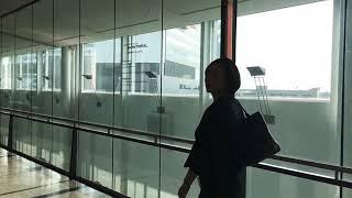 캐나다 몬트리올 트뤼도 국제공항 입국장 무빙워크 ️ Montréal-Pierre Elliott Trudeau International Airport  arrival exit