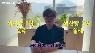 1년간 가격 5배 폭등!! 구하기도 힘들다는 이것, 칠레에 무려 920만톤이 있다고?