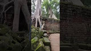 1000 years of history - Angkor Wat #mystery #history #cambodia #ankorwat #empire #traveldestinations