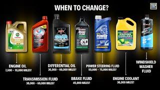 When & How to Change Every Fluid in your Car | Explained