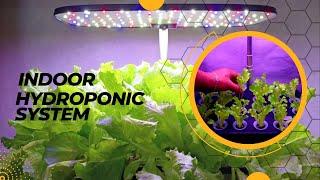 Smart Indoor Hydroponics System | LetPot Automated Hydroponic Farming At home.