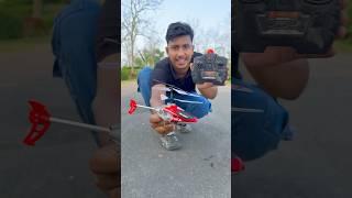 Flying Birds VS RC Helicopter