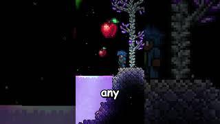 OVERPOWERED PERMANENT UPGRADES WITH SHIMMER in TERRARIA!! 