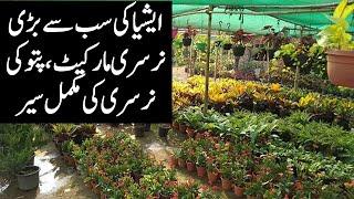 Asia's largest nursery market in Punjab Pakistan || Complete visit of Pattoki nursery