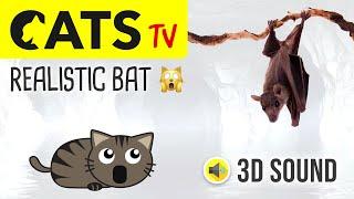 CATS TV - Realistic Flying Bat  3 HOURS (Game for cats to watch)