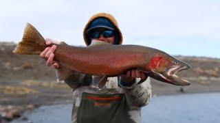 Pyramid Lake - Largest Cutthroat in the World