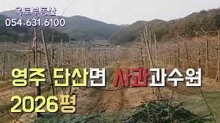 [토지매매016]  사과과수원 매매 2026평 / 영주옥토부동산