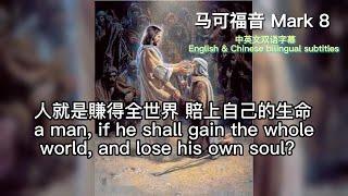 【圣经时间 Bible Time 】[马可福音Mark Chapter 8].静读. 中英聖經.讀聖經學英語. 聖經中英双语字幕 Bible English & Chinese subtitles.