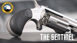 Introducing: The NAA Sentinel