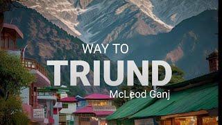 Way to TRIUND TREK Vlog | McLeod Ganj | Dharamshala | Dal Lake, Bhagsunag temple, Shiva Cafe