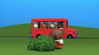 Bus to school! | Miffy | Cartoons for kids