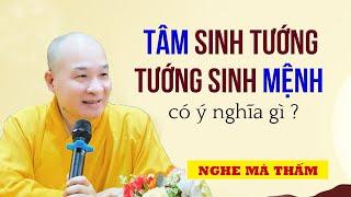 Tâm đổi thì vận mệnh cũng đổi - Thầy Thích Trí Huệ (Siêu hay)