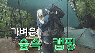 Camping in the Rainy Forest with a DOG (in KOREA)