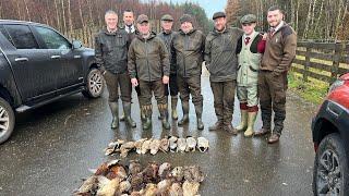 Greystoke Estate Pheasant Shooting (Mini Driven) Lake District (18th November 2023)