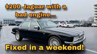 No One Wanted this $200 Jaguar with a Bad Engine...  So We Saved it in a Weekend!