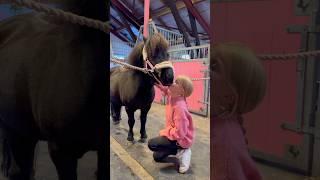 Is your horse afraid of spray-bottles and bothered by insects? #shorts #horse #pony
