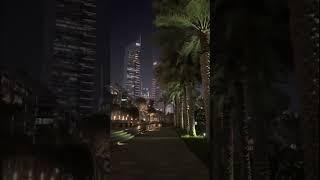 City Walk #music #edm #bass #remix #unitedarabemirates #walking #travel #dubailife #motivation