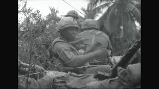 Vietnam War: 1st Cav Division 1967