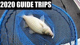 Lake Anna Striper Fishing Guide | Client Catches