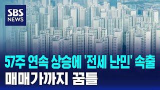 57주 연속 상승에 '전세 난민' 속출…매매가까지 꿈틀 / SBS