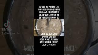 식생활정보 [20] 누룽지, 숭늉은 한국의 전통음식 #특우tv #포스푸드케어 #프로폴리스