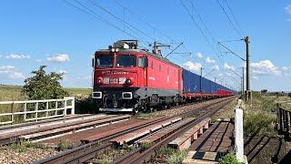 Tren marfar DB Cargo Romania cu super mecanici de nota 10 ! Salutari colegilor ! 12.08.2023 !