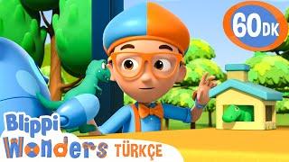 Evcil Hayvan T-Rex | Blippi Türkçe - Çocuklar için Eğitici Videolar