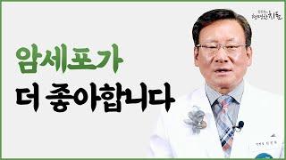 암환자가 고기보다 더 피해야 하는 음식