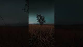 #darkaesthetic #dark #nature #naturetiktok #moody #wind # aesthetic #moodyvibes