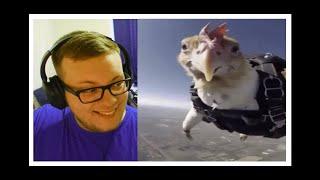You Laugh You Lose, Actually Impossible! | REACTION
