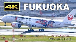 [4K] Plane spotting at Fukuoka Airport on November 23, 2024 / 福岡空港 / Fairport