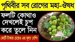 পৃথিবীর সব রোগের মহাঔষধ | কোটি টাকার চেয়েও উপকারি ফল | ডুমুর ফল একবার খেলেই আমৃত্যু কোনো রোগ হবে না!