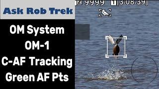 OM Systems OM-1 C-AF Tracking Modes, AIAF & Greener Focus Points ep.432