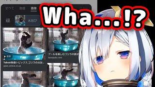 Viewers Sent Kanata GIFs of Gorillas Taking Baths【ENG Sub/Hololive】