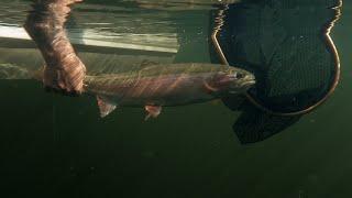 Fishing BC Presents: Fall Lake Fishing in Quesnel, BC